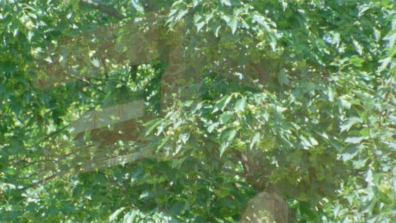 кадр из фильма 1986 夏