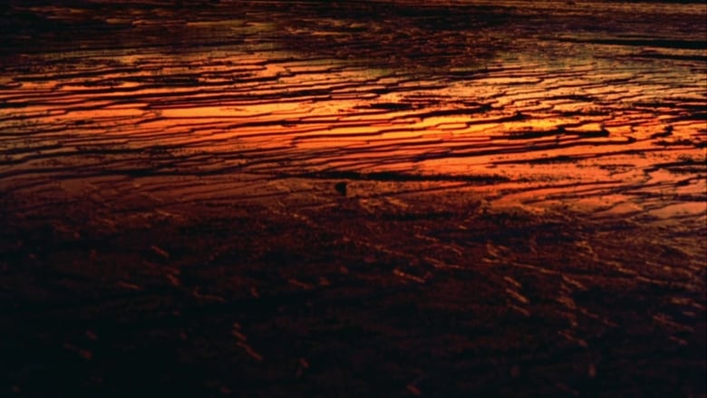 Faszination Natur - Die schönsten Landschaften der Welt