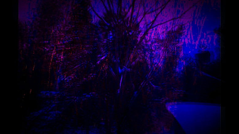 кадр из фильма Cottage Movie