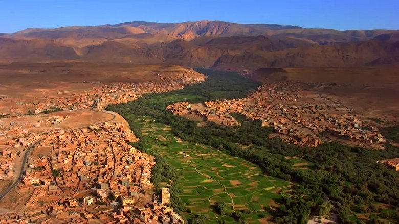 кадр из фильма Дом. История путешествия