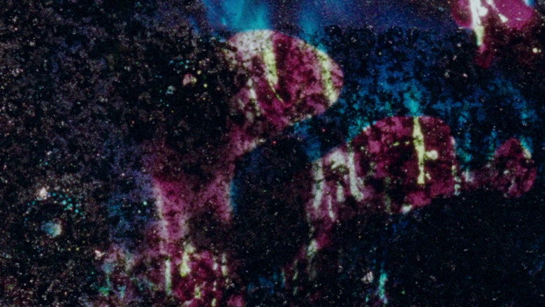 кадр из фильма When It Was Blue