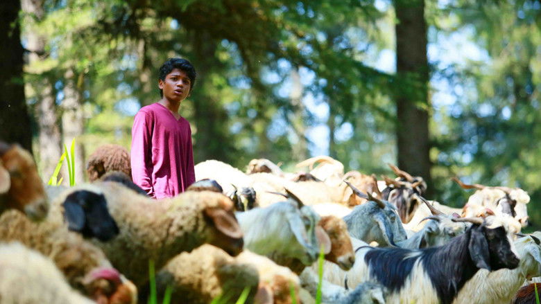 кадр из фильма Sound of Silence