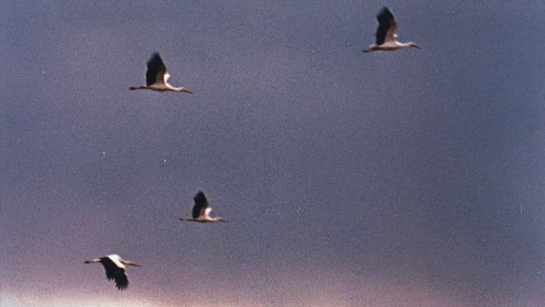 кадр из фильма Такая поздняя, такая тёплая осень