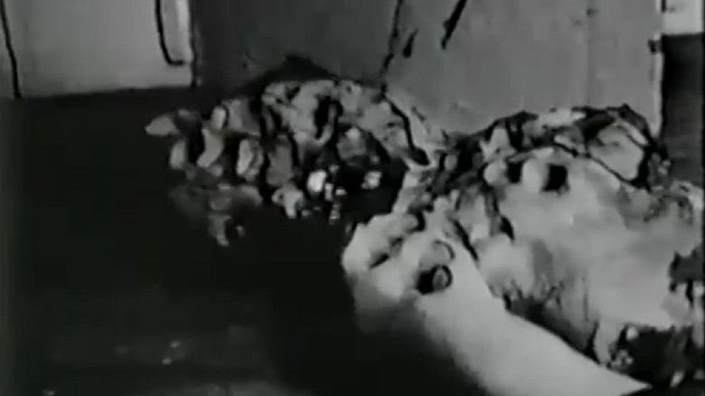 кадр из фильма Debbie Does Damnation