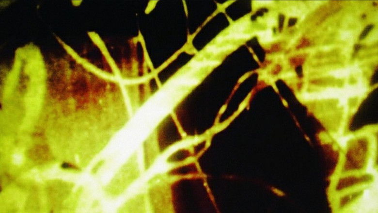 кадр из фильма All That Rises