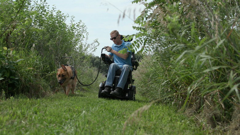 кадр из фильма Driven to Help