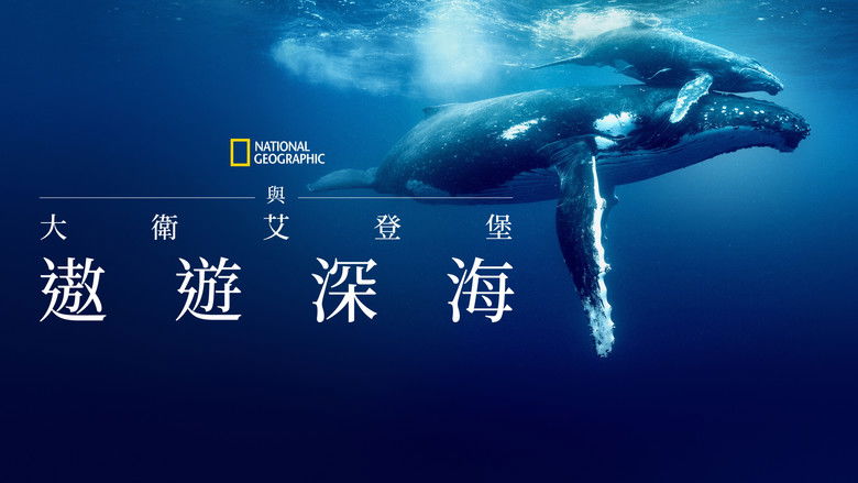 кадр из фильма Океан с Дэвидом Аттенборо