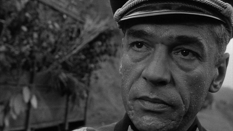 кадр из фильма Поезд