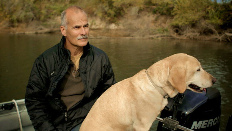 кадр из фильма Go Heal Yourself