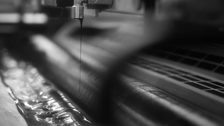 кадр из фильма Baltās lapas bieds