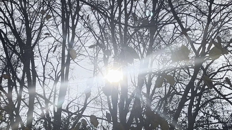 кадр из фильма , une lettre d'amour au soleil