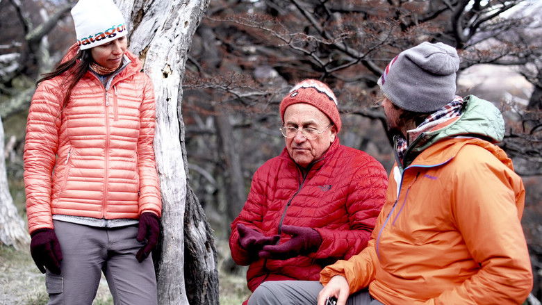 кадр из фильма From Stress to Happiness