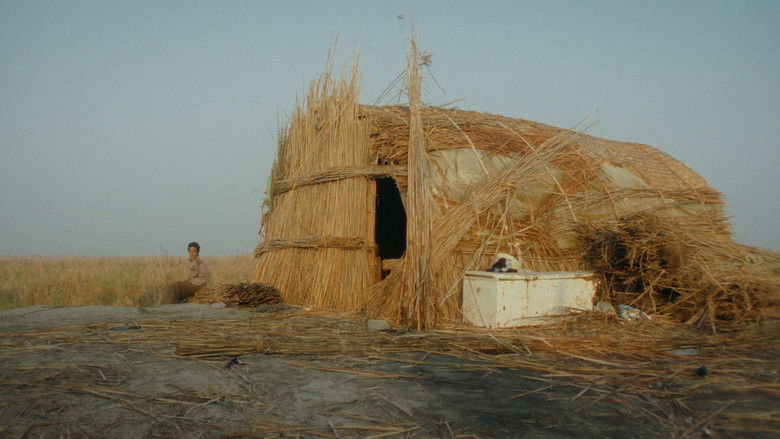 кадр из фильма ابراهيم