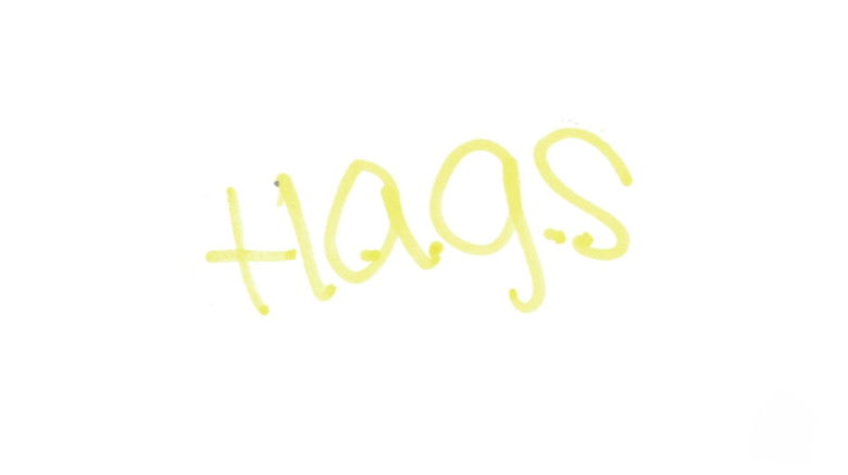 кадр из фильма H.A.G.S. (Have a Good Summer)