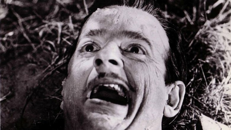 кадр из фильма Monster a Go-Go!