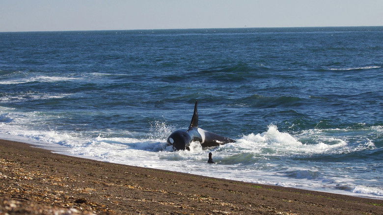 World's Deadliest Whale