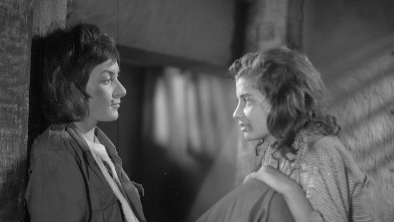 кадр из фильма Ngadhënjim mbi vdekjen