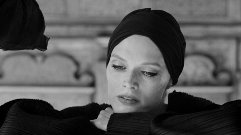 кадр из фильма Muse