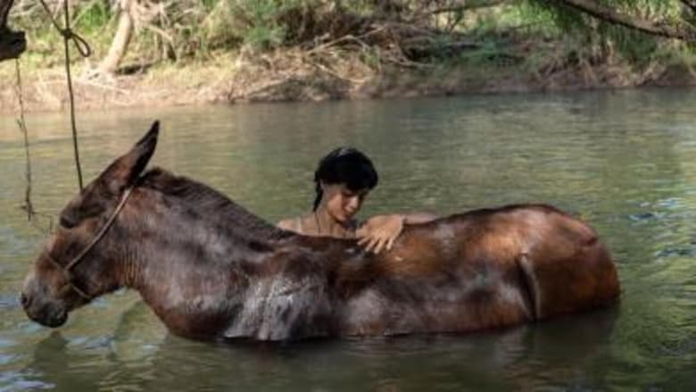 кадр из фильма La arriera