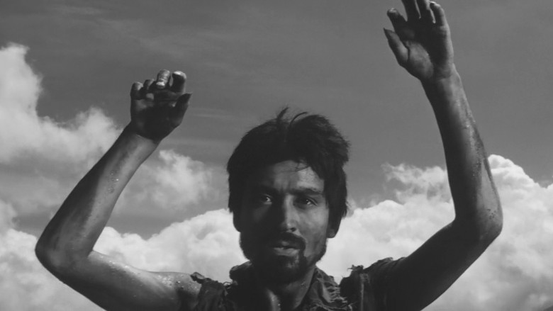 кадр из фильма Полевые огни