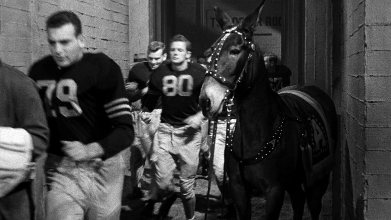 кадр из фильма Francis Goes to West Point