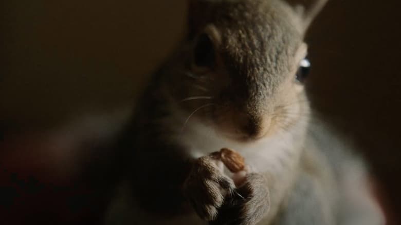 кадр из фильма My Duduś