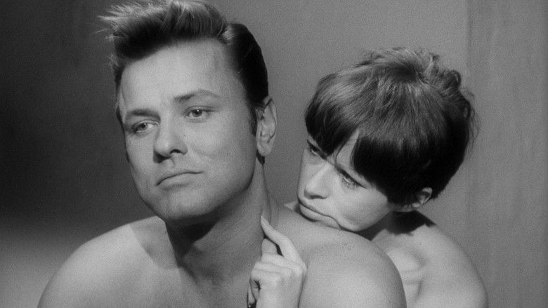 кадр из фильма Pit Stop