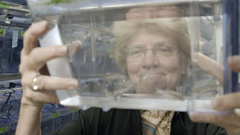 кадр из фильма Представьте себе ученого