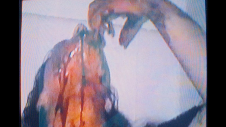 кадр из фильма The Dirt Knows.