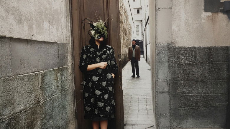 кадр из фильма Şehrazat