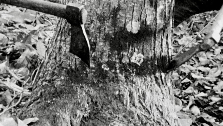 кадр из фильма Il taglio del bosco