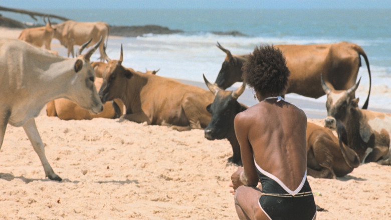 кадр из фильма Я отдыхаю только во время бури