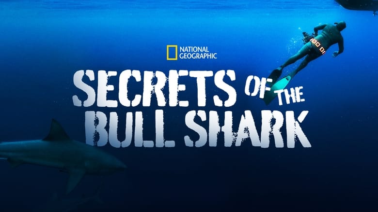 кадр из фильма Secrets of the Bull Shark