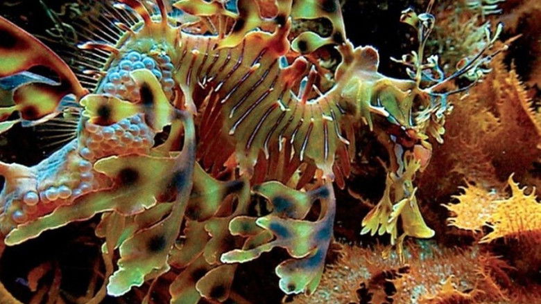 кадр из фильма Голубая бездна