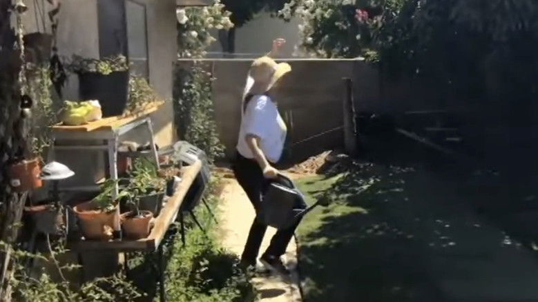 кадр из фильма Potted Plant