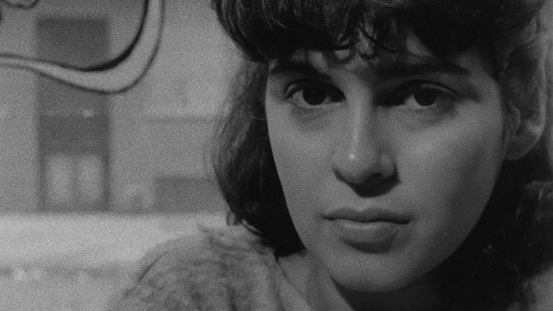 кадр из фильма The Cold Eye (My Darling, Be Careful)