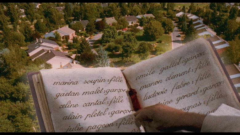 кадр из фильма Моя жизнь в розовом цвете