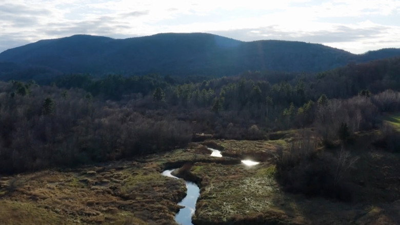 кадр из фильма The King and Beers - A Gravel Epic in Vermont