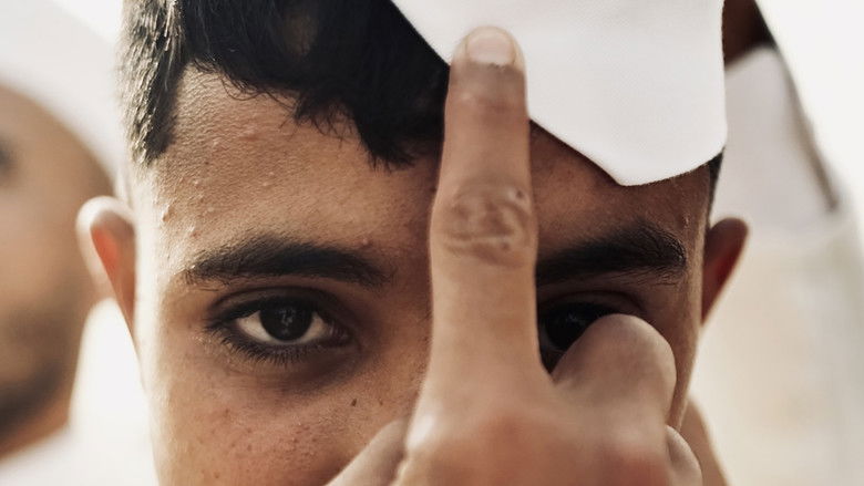 кадр из фильма Bardi