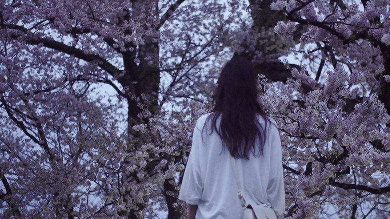 кадр из фильма さくら、手のひら