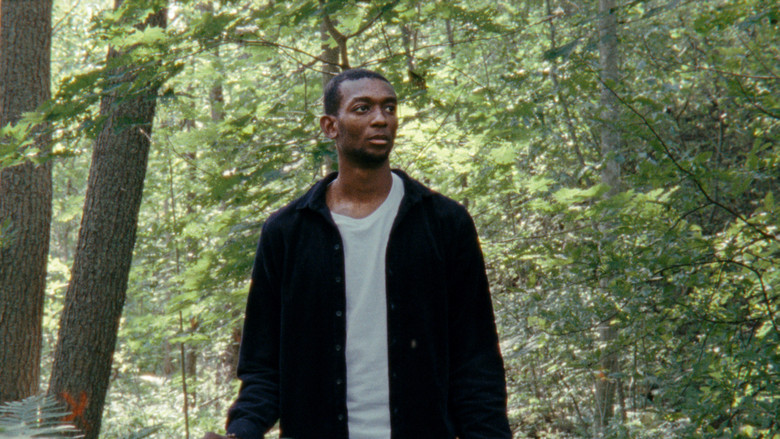 кадр из фильма Where to Land