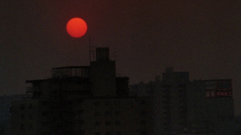 кадр из фильма Без солнца