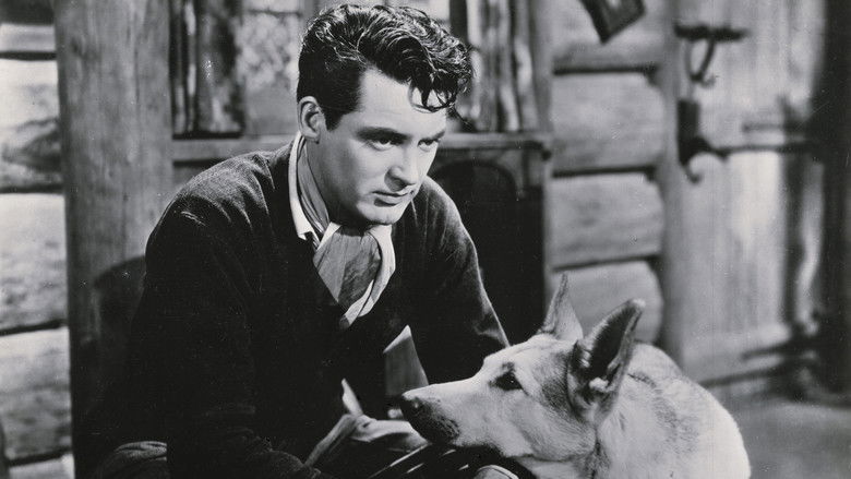 кадр из фильма Wings in the Dark