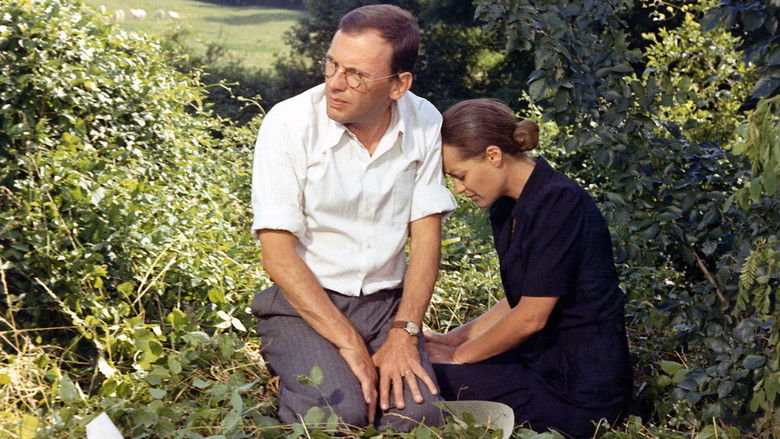 кадр из фильма Поезд