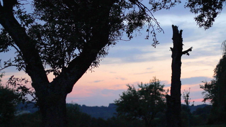 кадр из фильма Jörg Schmidt-Reitwein: Ways of Seeing