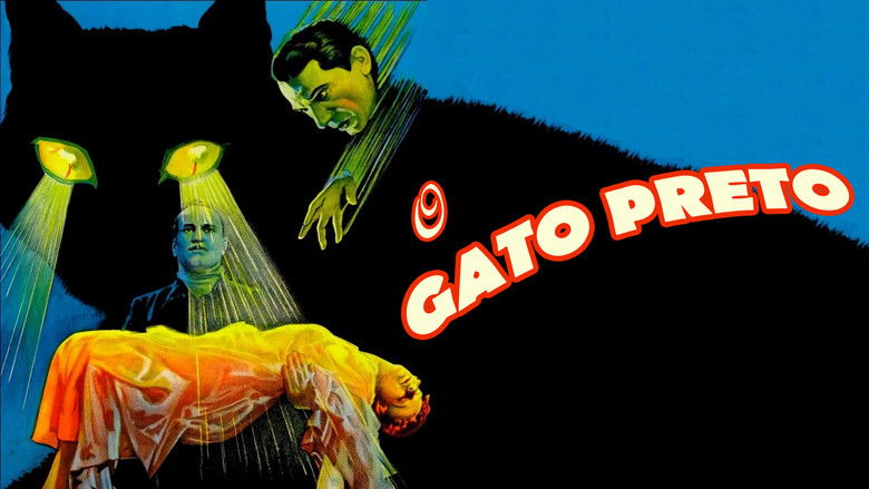 кадр из фильма Чёрный кот