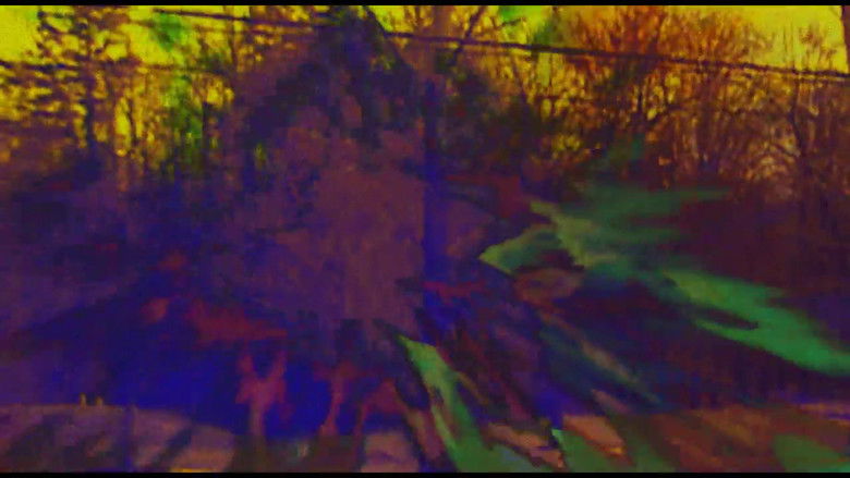 кадр из фильма Joose Psychedelia Test
