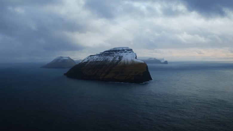 The Islands and the Whales