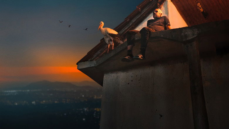 кадр из фильма Приказната за Силјан