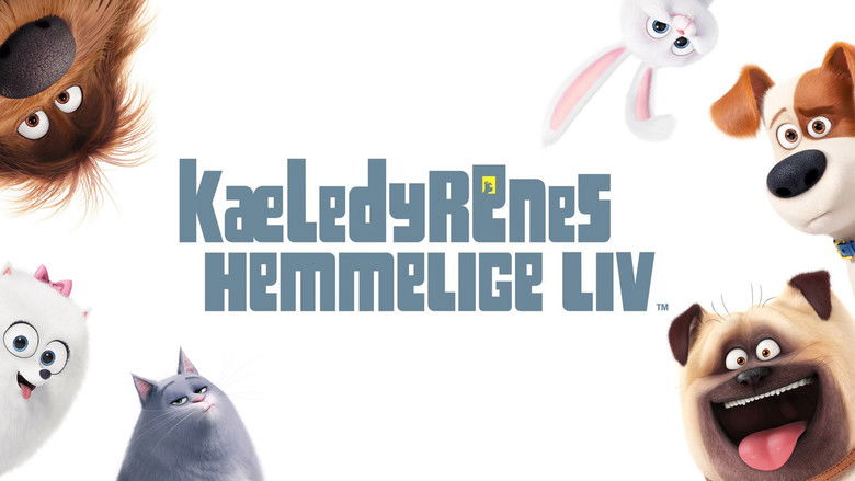 кадр из фильма Тайная жизнь домашних животных